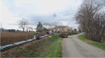 le travail de plantation