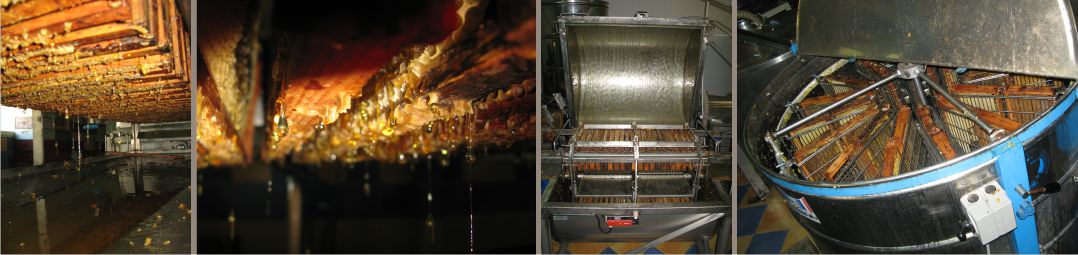 le miel s'écoule des cadres