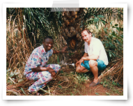 Essaim dans un palmier