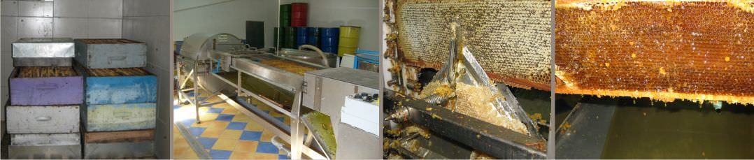 La ligne d'extraction du miel