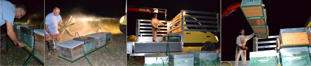 fermeture des ruches pollinisatrices