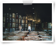 Entrepot de futs de miel