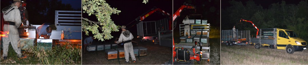 le grutage des ruches