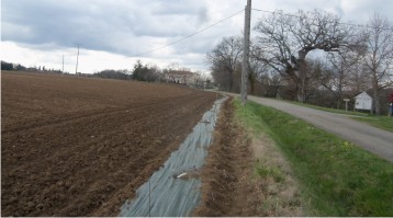 emplacement de la haie mellifère