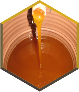 Mise en fûts du miel