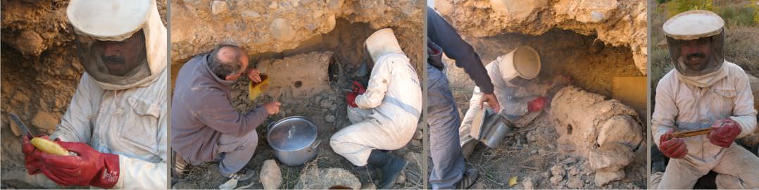 Récupération des galettes de cire chargée de miel