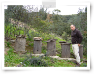 ruches traditionelles en écorce