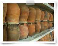 ruche d'abeilles mélipones