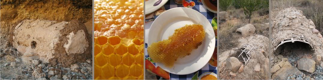 Ruches tombeau du Maroc