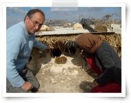 rucher traditionel de Tunisie