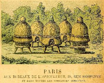 Gravure ancienne de rucher