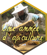 Le travail de l'apiculteur tout au long de l'année