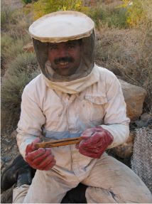 Ibrahim retrouve une cage à reine à l'ouverture de la ruche