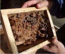 vue des réservoir stockant le miel