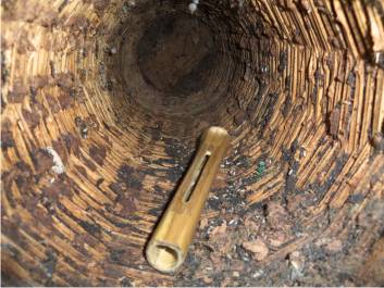 plaque de cire en place